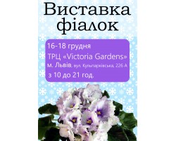 Выставка фиалок во Львове 16-18 декабря 2016